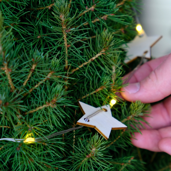 2G Festive Shrub (photo 4 of 4)