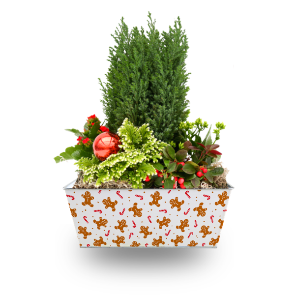 Indoor Tropical Planter (photo 1 of 4)