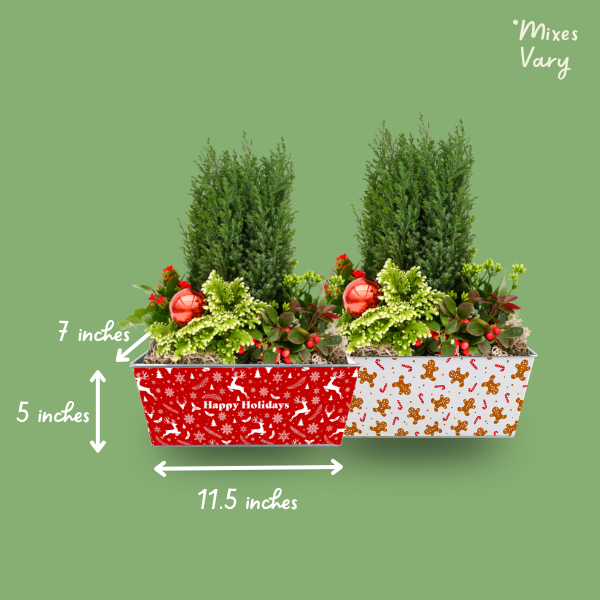 Indoor Tropical Planter (photo 2 of 4)