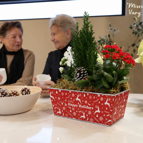 Indoor Tropical Planter (photo 4 of 4)